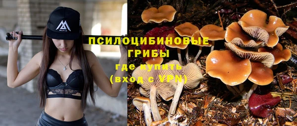 PSILOCYBIN Валдай