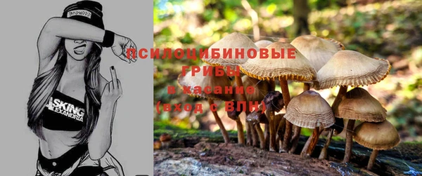 тгк Зерноград